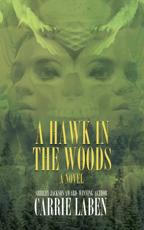 a-hawk-in-the-woods