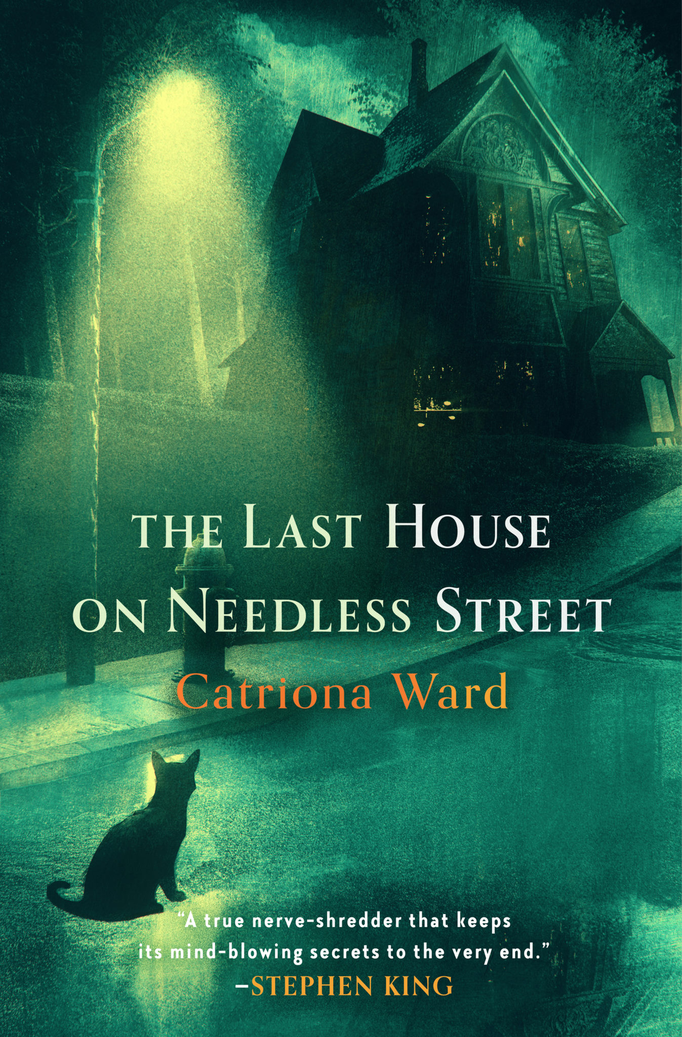 the house on needless street review