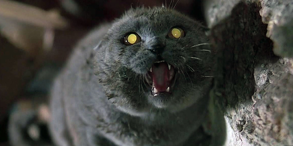 Fearful Felines: The Ten Spookiest Cats of Horror Fiction and Film - 928