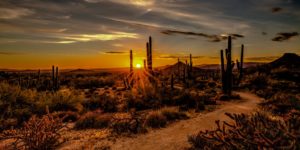 8 Surreal Books to Introduce You to Southwestern Gothic Horror - 270