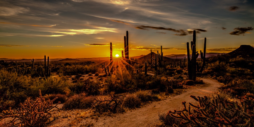 8 Surreal Books to Introduce You to Southwestern Gothic Horror - 718